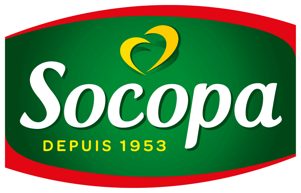 Socopa